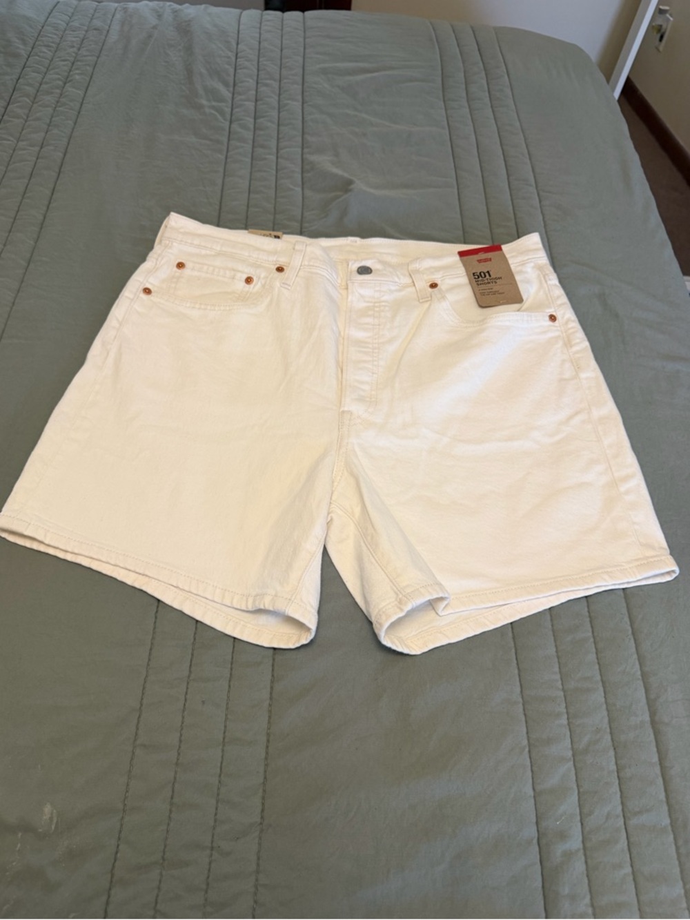 Levi Shorts (NWT, Size 33)